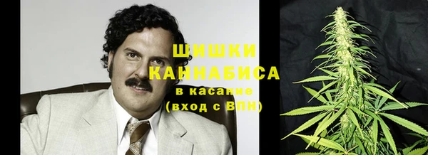 шишки Балабаново