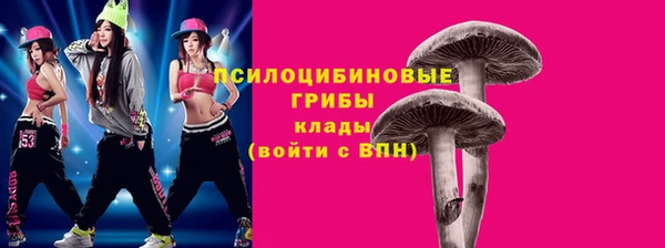 спиды Армянск