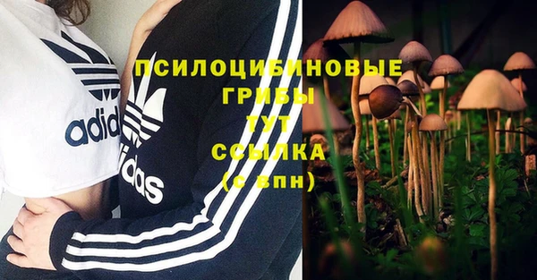 шишки Балабаново