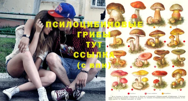 mix Арсеньев