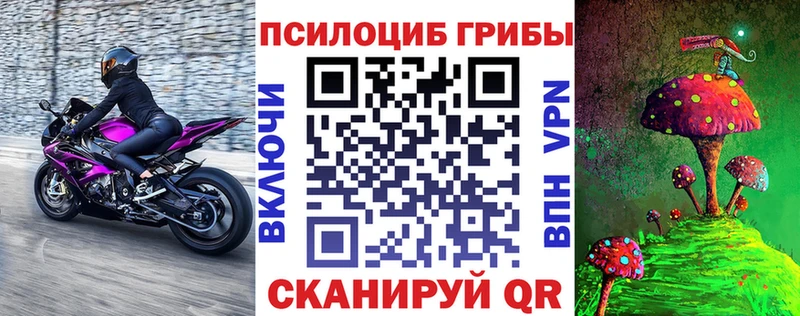 Псилоцибиновые грибы Psilocybine cubensis  Оханск 